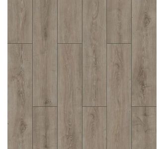 ΔΑΠΕΔΟ LAMINATE  WINGS  4V 8mm 007 PARROT NewPlan - NewPlan |   Laminate  στο espiti