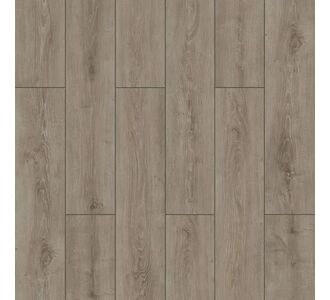 ΔΑΠΕΔΟ LAMINATE  WINGS  4V 8mm 007 PARROT NewPlan - NewPlan |   Laminate  στο espiti