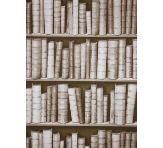 92307F ΣΤΟΚ Π.Χ MAGNIFIQUE ΤΑΠΕΤΣΑΡΙΑ ΤΟΙΧΟΥ UGEPA NewPlan - NewPlan |  Ταπετσαρίες Τοίχου στο espiti