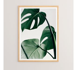 Πίνακας Leafy pakoworld με ψηφιακή εκτύπωση και πλαίσιο 33x1.5x48εκ |  Πίνακες στο espiti