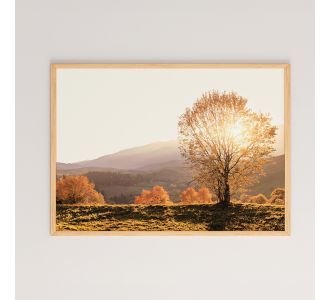 Πίνακας Vila pakoworld με ψηφιακή εκτύπωση και πλαίσιο 48x1.5x33εκ |  Πίνακες στο espiti