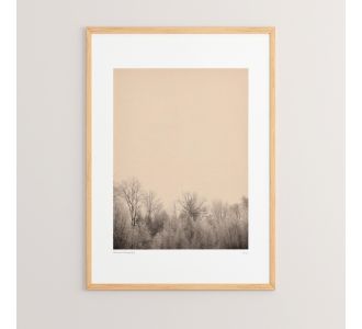 Πίνακας Quany pakoworld με ψηφιακή εκτύπωση και πλαίσιο 33x1.5x48εκ |  Πίνακες στο espiti