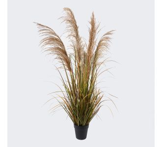 Διακοσμητικό φυτό σε γλάστρα Bulrush Inart  Φ65x120εκ |  Λουλούδια στο espiti