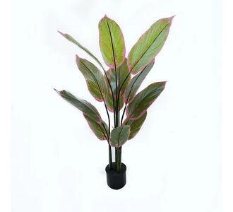 Διακοσμητικό φυτό σε γλάστρα Calathea Inart πράσινο Φ68x120εκ |  Φυτά συνθετικά - Λουλούδια στο espiti