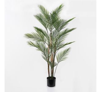 Διακοσμητικό φυτό σε γλάστρα Kwai Inart πράσινο Φ92x150εκ |  Λουλούδια στο espiti