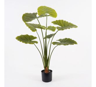 Διακοσμητικό φυτό σε γλάστρα Alocasia Inart πράσινο Φ90x120εκ |  Λουλούδια στο espiti