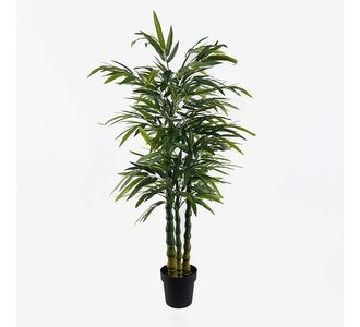 Διακοσμητικό φυτό σε γλάστρα Arti Bamboo Inart πράσινο Φ70x150εκ |  Φυτά συνθετικά - Λουλούδια στο espiti