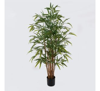 Διακοσμητικό φυτό σε γλάστρα Rhapis Palm Inart πράσινο Φ80x180εκ |  Λουλούδια στο espiti