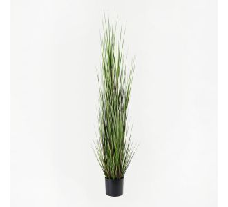 Διακοσμητικό φυτό σε γλάστρα Βoxwood Inart πράσινο Φ46x150εκ |  Λουλούδια στο espiti