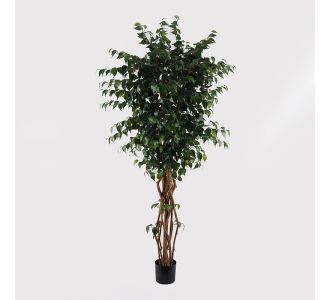 Διακοσμητικό φυτό σε γλάστρα Banyan Inart πράσινο Φ95x180εκ |  Λουλούδια στο espiti