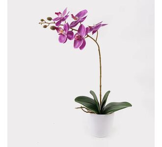 Διακοσμητικό φυτό σε γλάστρα Οrchid Beauty Inart 30x13x46εκ |  Φυτά συνθετικά - Λουλούδια στο espiti
