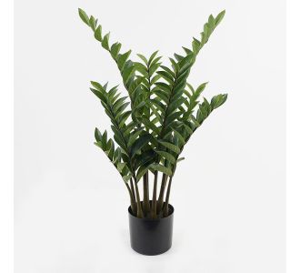 Διακοσμητικό φυτό σε γλάστρα Zamia Inart πράσινο Φ52x88εκ |  Λουλούδια στο espiti