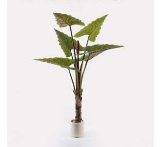 Διακοσμητικό φυτό σε γλάστρα Wentii Inart πράσινο Φ130x180εκ |  Λουλούδια στο espiti