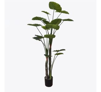 Διακοσμητικό φυτό σε γλάστρα Taro Plant Inart πράσινο Φ90x180εκ |  Λουλούδια στο espiti