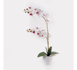 Διακοσμητικό φυτό σε γλάστρα Οrchid White Inart 36x17x65εκ |  Φυτά συνθετικά - Λουλούδια στο espiti