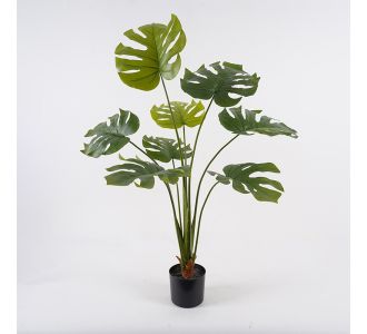 Διακοσμητικό φυτό σε γλάστρα Deliciosa Inart πράσινο Φ94x120εκ |  Λουλούδια στο espiti