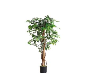FICUS TREE NP0078_120   YΨΟΣ 120cm NewPlan - NewPlan |  Λουλούδια στο espiti