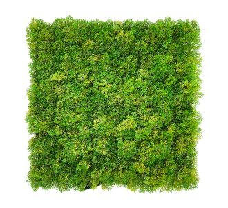 ΠΑΝΕΛ ΦΥΛΛΩΣΙΑΣ MOSS 50 Χ 50 A509 NewPlan - NewPlan |  Κάθετοι Κήποι στο espiti