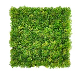 ΠΑΝΕΛ ΦΥΛΛΩΣΙΑΣ MOSS 50 Χ 50 A509 NewPlan - NewPlan |  Κάθετοι Κήποι στο espiti
