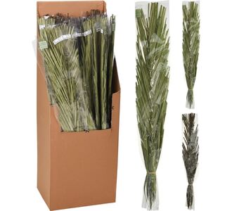Φύλλα ArteLibre Khajur 95-100cm Δεμένα Σε Χάρτινη Θήκη 36Τμχ Σε 3 Ποικιλίες 06350601 ArteLibre |  Φυτά συνθετικά - Λουλούδια στο espiti
