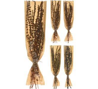 Φύλλα Αποξηραμένα ArteLibre Palang Grass Δεμένα Σε Χάρτινη Θήκη Σε 4 Ποικιλίες 06350605 ArteLibre |  Φυτά συνθετικά - Λουλούδια στο espiti