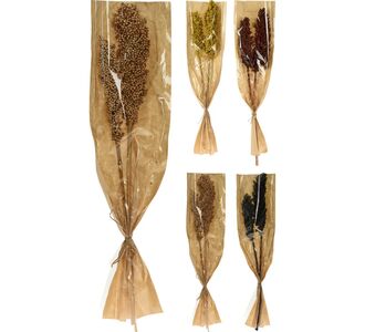 Φύλλα Αποξηραμένα ArteLibre Indian Corn Δεμένα Σε Χάρτινη Θήκη Σε 4 Ποικιλίες 06350606 ArteLibre |  Φυτά συνθετικά - Λουλούδια στο espiti