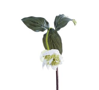 Φυτό ArteLibre Λευκό Τεχνητό 86cm 05161233 ArteLibre |  Φυτά συνθετικά - Λουλούδια στο espiti