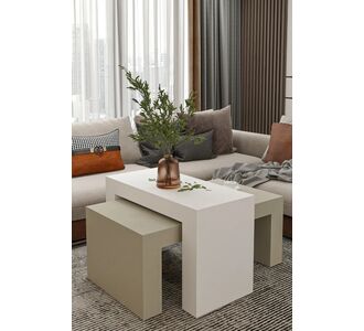 Stewehome Σετ 2 μοντέρνα τραπεζάκια σαλονιού από σαντουλάμ 50x90 cm 596593 |  Τραπεζάκια σαλονιού στο espiti