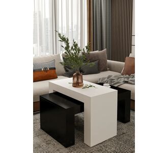 Stewehome Σετ 2 τεμαχίων τραπεζάκια σαλονιού από σανταλάμ μοντέρνου στυλ ορθογώνια 50x90 cm 428124 |  Τραπεζάκια σαλονιού στο espiti