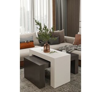 Stewehome Σετ 2 μοντέρνα τραπεζάκια σαλονιού ορθογώνια από σουνταλάμ 50x90 cm 855961 |  Τραπεζάκια σαλονιού στο espiti