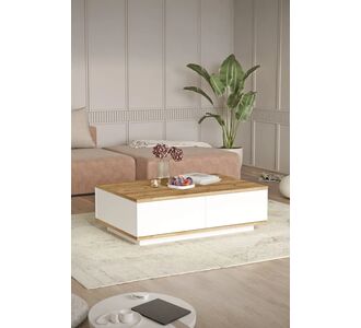 Stewehome Τραπέζι σαλονιού από πεύκο με 2 πόρτες σκανδιναβικού στιλ 60x90x90 cm 224769 |  Τραπεζάκια σαλονιού στο espiti