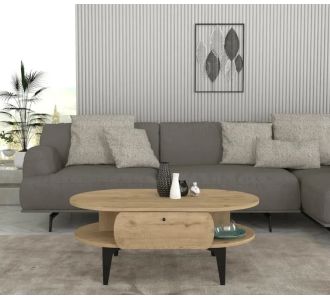 Stewehome Δρυς Οβάλ Τραπεζάκι Σαλονιού με Αποθηκευτικό Χώρο 100x60x40 cm 126387 |  Τραπεζάκια σαλονιού στο espiti