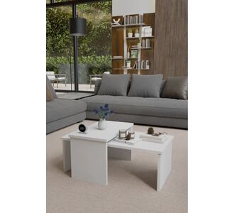 Stewehome Σετ 2 τεμαχίων τραπεζάκια σαλονιού μεσαίο και ζιγκον από ξύλο διακοσμητικά έπιπλα σαλονιού 939809 |  Τραπεζάκια σαλονιού στο espiti
