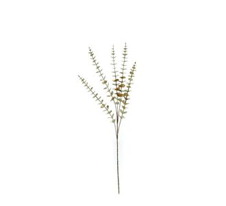 Κλαδί Με Φύλλα Χρυσό 90cm 06512161 ArteLibre |  Χριστουγεννιάτικα Διακοσμητικά στο espiti