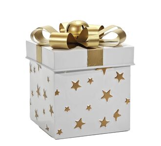 Χριστουγεννιάτικο Κουτί Δώρου Λευκό 20cm 06513754 ArteLibre |  Χριστουγεννιάτικα Διακοσμητικά στο espiti