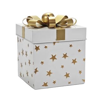 Χριστουγεννιάτικο Κουτί Δώρου Λευκό 23cm 06513755 ArteLibre |  Χριστουγεννιάτικα Διακοσμητικά στο espiti