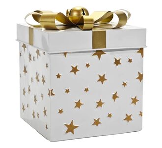 Χριστουγεννιάτικο Κουτί Δώρου Λευκό 26cm 06513756 ArteLibre |  Χριστουγεννιάτικα Διακοσμητικά στο espiti