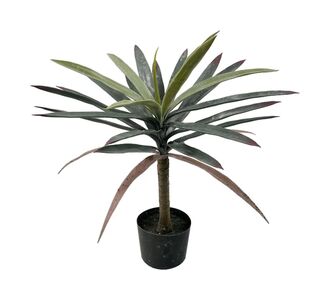 Διακοσμητικό φυτό Dracaena palm σε γλάστρα Inart πράσινο pp Υ62εκ |  Φυτά συνθετικά - Λουλούδια στο espiti