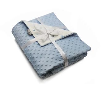 ΒΡΕΦΙΚΗ ΚΟΥΒΕΡΤΑ 110Χ140 FLEECE ΚΟΥΝΙΑΣ TOPPY BLUE PIERRE CARDIN |  Βρεφικές Κουβέρτες στο espiti