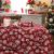 DAS HOME CHRISTMAS RUNNER 45Χ140 0626 ΚΟΚΚΙΝΟ, ΜΠΕΖ |  Χριστουγεννιάτικες Τραβέρσες στο espiti