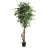 FICUS TREE NP5209_180  ΥΨΟΣ 180cm NewPlan - NewPlan |  Λουλούδια στο espiti