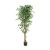 FICUS TREE NP0080_180   ΥΨΟΣ 180cm NewPlan - NewPlan |  Λουλούδια στο espiti