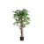 FICUS TREE NP0078_120   YΨΟΣ 120cm NewPlan - NewPlan |  Λουλούδια στο espiti
