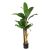 BANANA TREE NP703_160  ΥΨΟΣ 160cm NewPlan - NewPlan |  Λουλούδια στο espiti