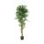 FICUS TREE NP0081_210   ΥΨΟΣ 210cm NewPlan - NewPlan |  Λουλούδια στο espiti