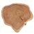 Τραπέζι σαλονιού Davis pakoworld μασίφ ξύλο ακακίας 6,5-7εκ καρυδί 85x85x45εκ |  Τραπεζάκια σαλονιού στο espiti