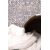Χαλί Fargo 25101 Royal Carpet - 200 x 300 cm |  Χαλιά Σαλονιού  στο espiti