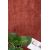 Χαλί Feel 71351 013 Royal Carpet - 140 x 200 cm |  Χαλιά Σαλονιού  στο espiti