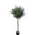 OLIVE TREE NP5807_150_22_UV ΥΨΟΣ 150cm NewPlan - NewPlan |  Λουλούδια στο espiti