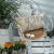Μαξιλαροθήκη Salerno 14 - 30x50cm salerno-maksilari-14-89495 Teoran |  Μαξιλάρια διακοσμητικά στο espiti